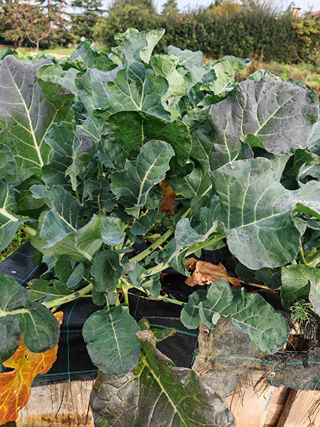Azienda agricola